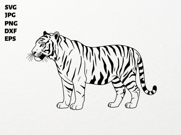 Tiger Clipart SVG for Cricut